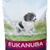 Eukanuba Dog Adult Medium 15kg Fôr