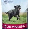 Eukanuba Dog Adult Large 15kg Fôr -Whiskas shop 268001 8710255121741 a1c1