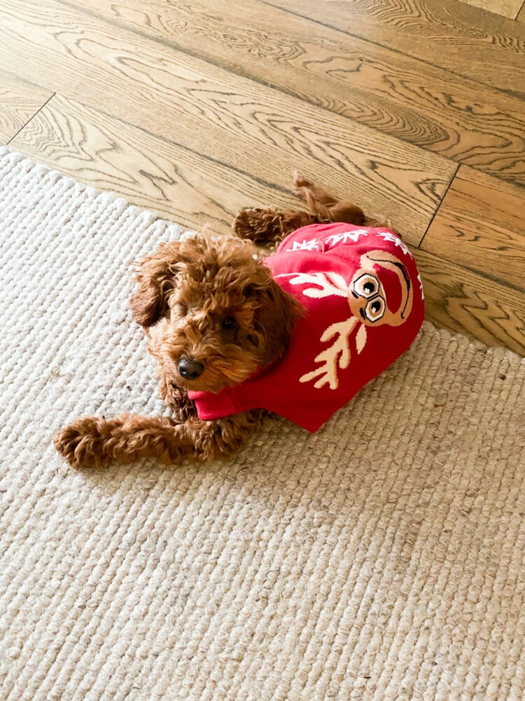 Hudson Hundegenser Med Reinsdyrmotiv 5 Hudson Hundegenser Med Reinsdyrmotiv - Bilde 3