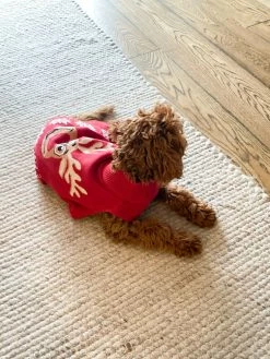 Hudson Hundegenser Med Reinsdyrmotiv 9 Hudson Hundegenser Med Reinsdyrmotiv -Whiskas shop 685266 7322414813872 4