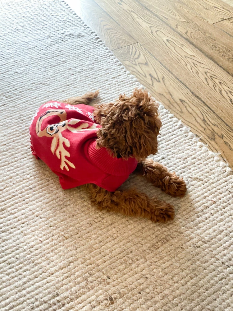 Hudson Hundegenser Med Reinsdyrmotiv 6 Hudson Hundegenser Med Reinsdyrmotiv - Bilde 4