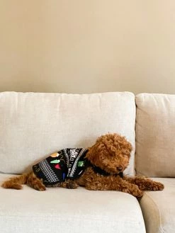 Hudson Hundegenser Med Julemotiv 8 Hudson Hundegenser Med Julemotiv -Whiskas shop 685268 51339 3